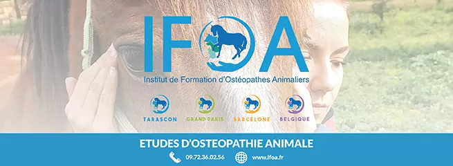 IFOA (Institut de Formation d’Ostéopathes Animaliers)