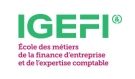 logo de l'école IGEFI
